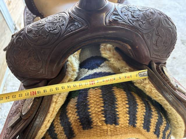 Sella western   16" - 2017