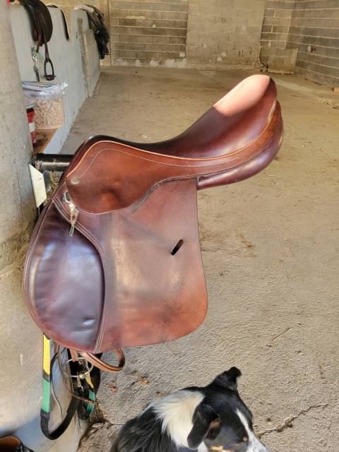 Sella mista Equipe  17" - 2016