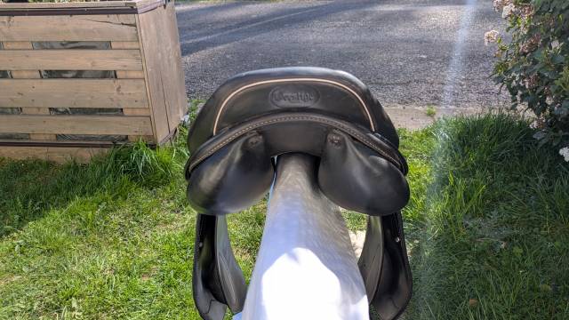 Sella mista Prestige Italia  17" - 2018