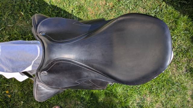 Sella mista Prestige Italia  17" - 2018