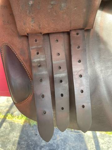 Sella da salto ostacoli Butet  17.5" - 2024