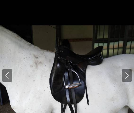 Sella dressage Kieffer