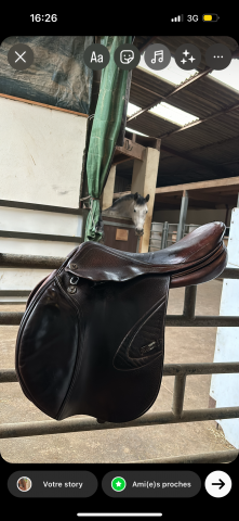 Sella da salto ostacoli Prestige Italia Carisma D 17" - 2008