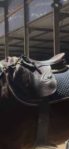 Sella da salto ostacoli Prestige Italia Carisma D 17" - 2008