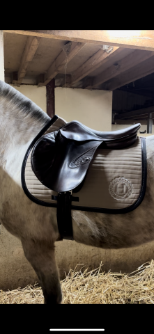 Sella da salto ostacoli Prestige Italia Carisma D 17" - 2008