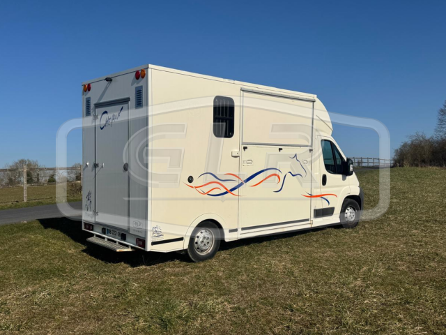 Van per Cavalli Citroen Jumper 2010 Occasione