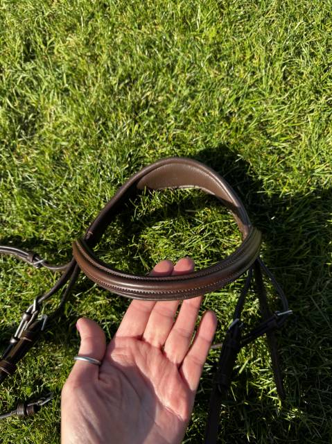  LJ Leathers Occasione