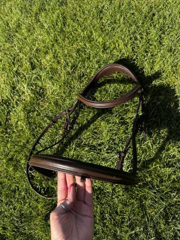  LJ Leathers Occasione