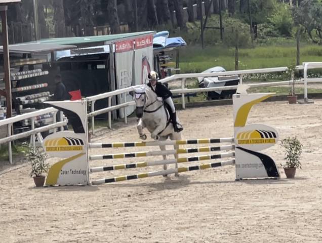 Pony francese 