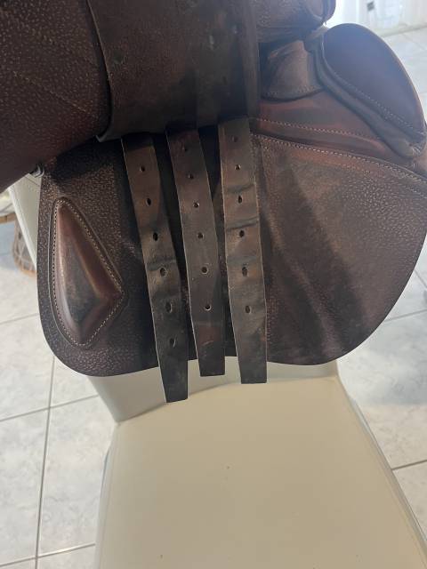 Sella da salto ostacoli CWD  17" - 2022