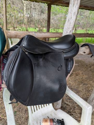 Sella mista Forestier  17.5" - 2022