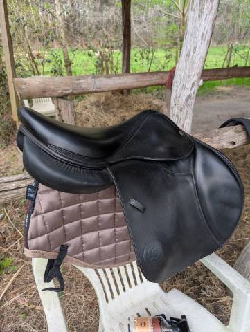 Sella mista Forestier  17.5" - 2022