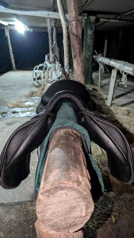 Sella mista Forestier  17.5" - 2022