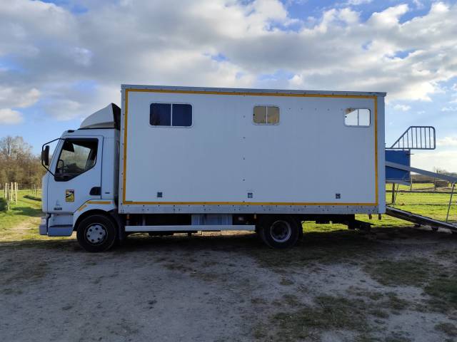 Camion per Cavalli Renault  2002 Occasione
