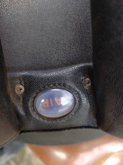 Altra sella Wintec  17" - 2022