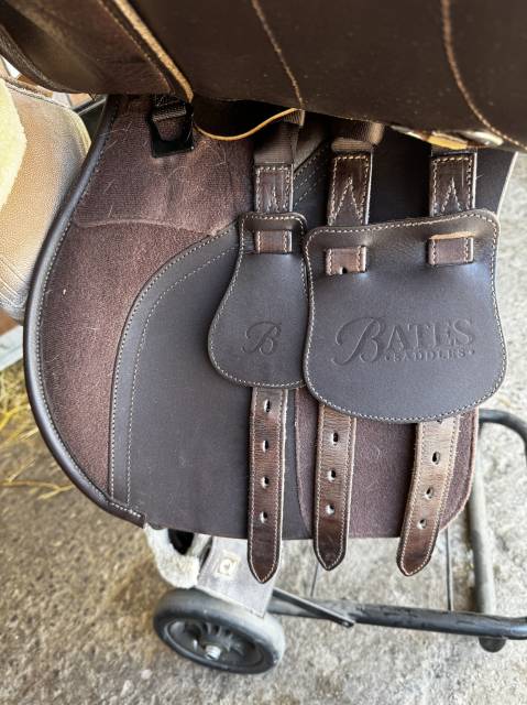 Sella mista Bates  17" - 2024