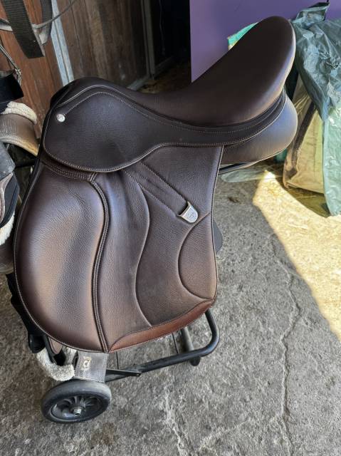 Sella mista Bates  17" - 2024