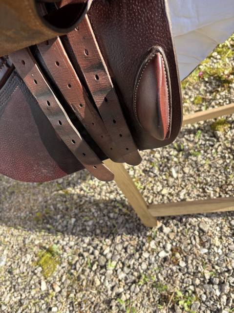 Sella da salto ostacoli GBS  18" - 2019