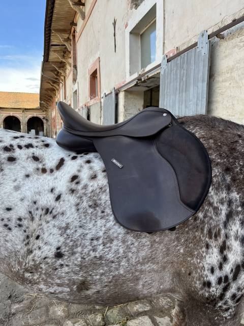 Sella mista Wintec  17" - 2018