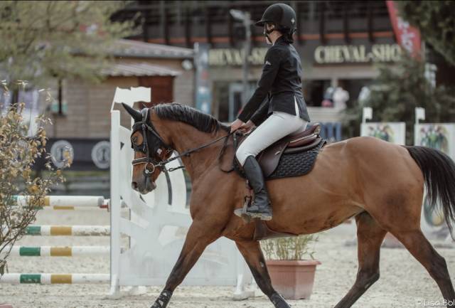 Sella mista CWD  17.5" - 2023