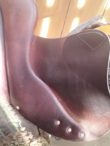 Sella da salto ostacoli Antar&egrave;s  17.5" - 2015