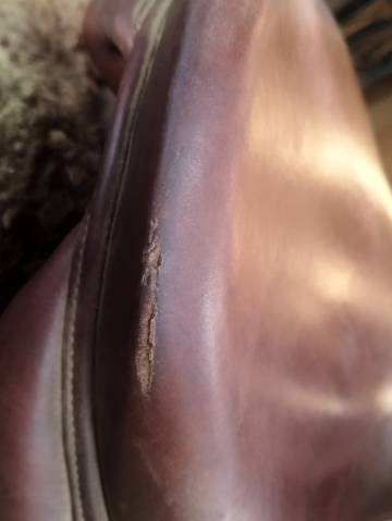 Sella da salto ostacoli Antar&egrave;s  17.5" - 2015