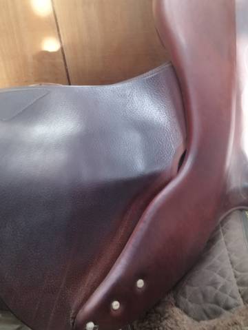 Sella da salto ostacoli Antar&egrave;s  17.5" - 2015