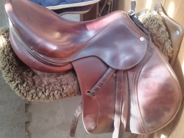 Sella da salto ostacoli Antar&egrave;s  17.5" - 2015