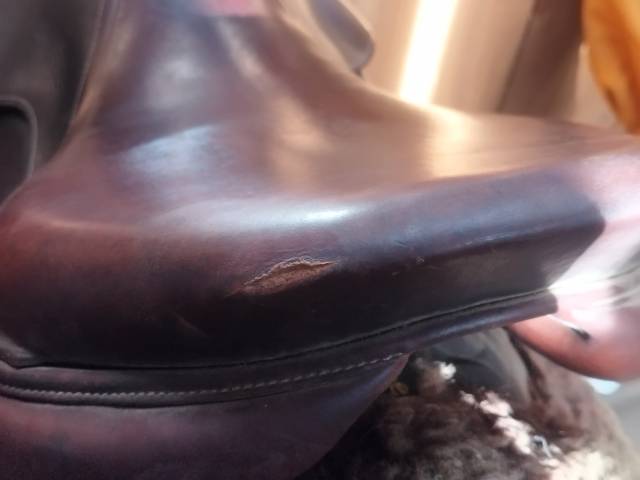 Sella da salto ostacoli Antar&egrave;s  17.5" - 2015