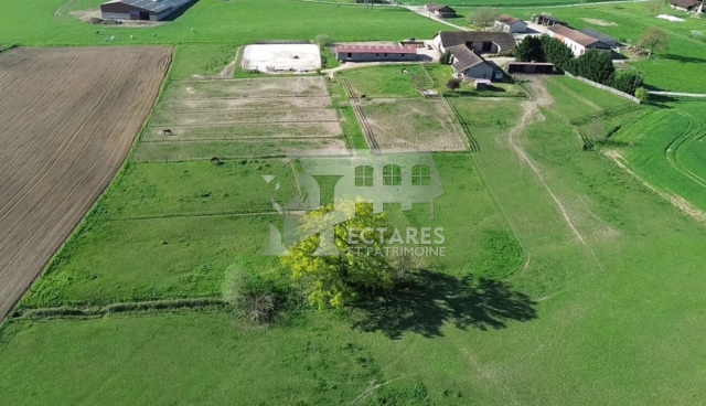 Scuderia per proprietari In vendita Ain