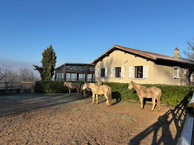 Bella dimora equestre In vendita Rhône