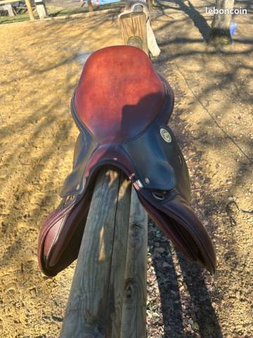 Sella mista  Maurel 17" - 2017