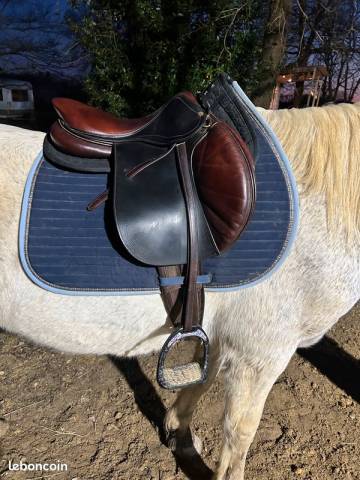 Sella mista  Maurel 17" - 2017