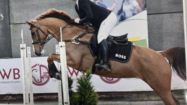 Sella da salto ostacoli  biarritz O 18" - 2018