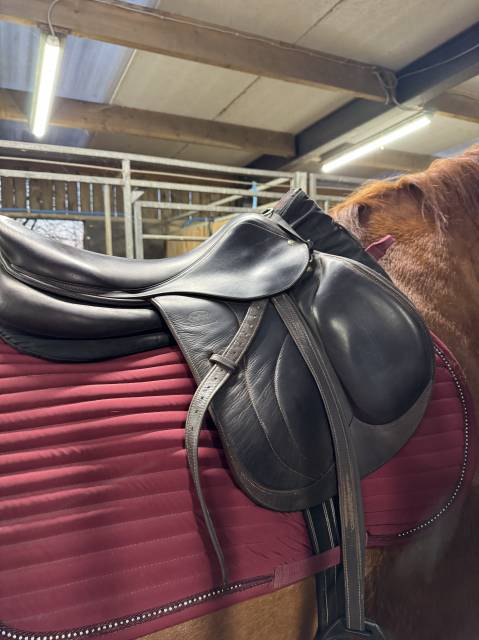 Sella da salto ostacoli  biarritz O 18" - 2018