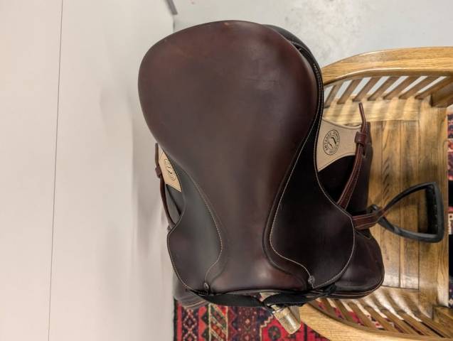 Sella da salto ostacoli Antar&egrave;s  15.5" - 2021