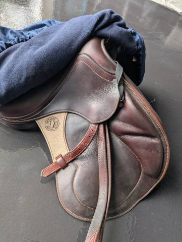 Sella da salto ostacoli Antar&egrave;s  15.5" - 2021