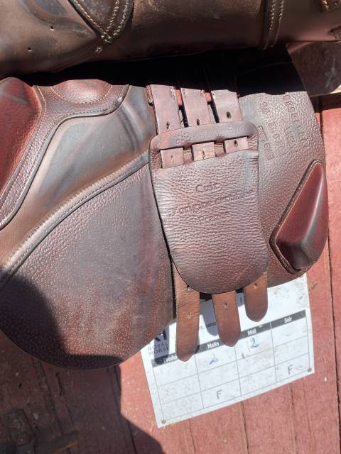 Sella da salto ostacoli Ikonic  17.5" - 2019