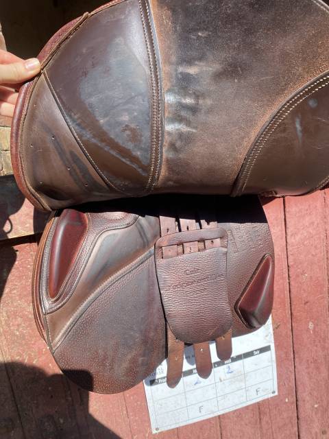 Sella da salto ostacoli Ikonic  17.5" - 2019