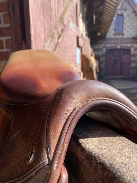 Sella da salto ostacoli Ikonic  17.5" - 2019