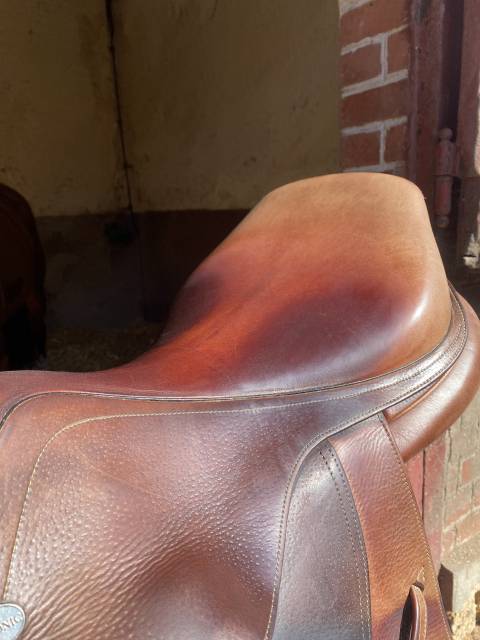 Sella da salto ostacoli Ikonic  17.5" - 2019