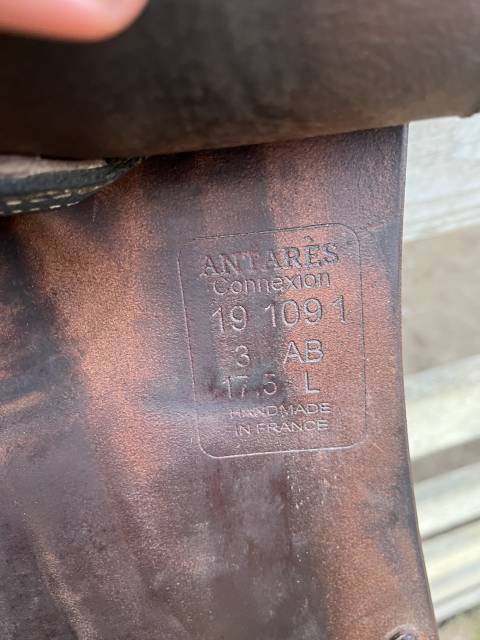 Sella mista Antarès  17.5" - 2019