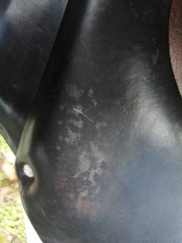 Sella mista Hervé Godignon  17.5" - 2014