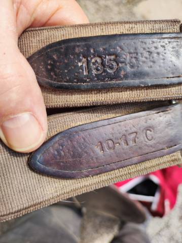 Sella da salto ostacoli CWD  17" - 2017