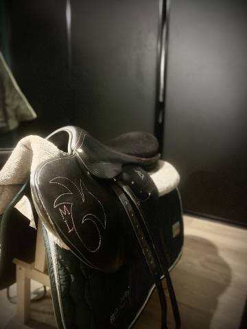 Sella da cross Childeric Selle d’entraînement  17.5" - 2022