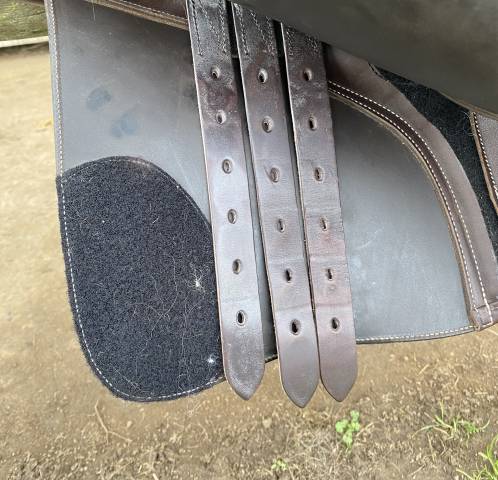 Sella da salto ostacoli Eric Thomas  17.5" - 2024