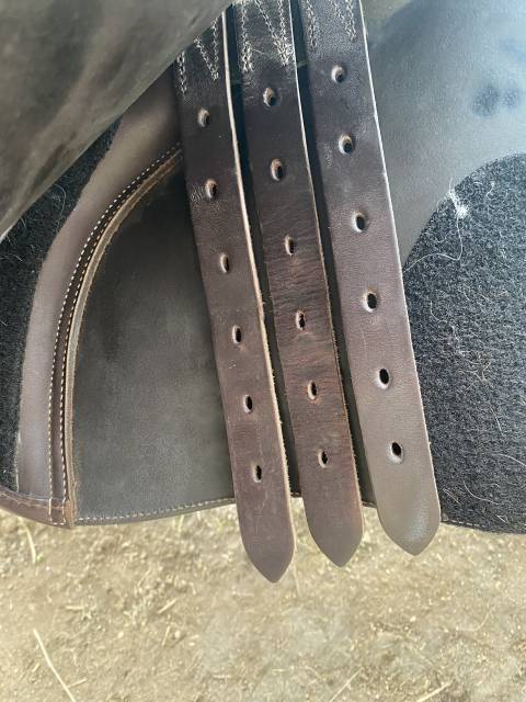 Sella da salto ostacoli Eric Thomas  17.5" - 2024