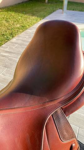 Sella da salto ostacoli CWD  17.5" - 2020