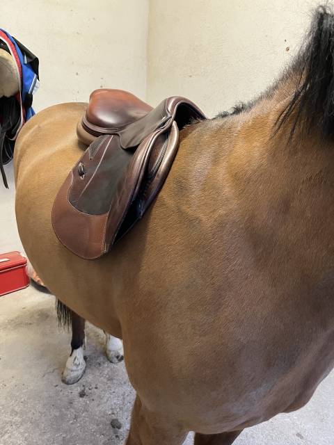 Sella da salto ostacoli CWD  17" - 2012