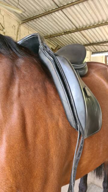 Sella da dressage Zaldi  17.5" - 2013